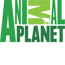 Animal Planet TV online élő közvetítés nézése